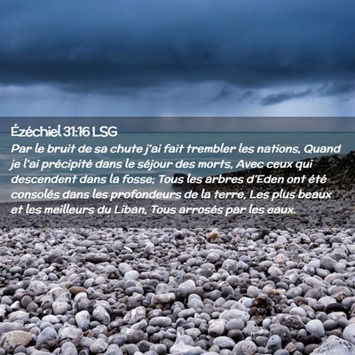 Picture 02 - Ézéchiel 31:16 LSG - Par le bruit de sa chute j'ai fait trembler les - Bible Verse Picture