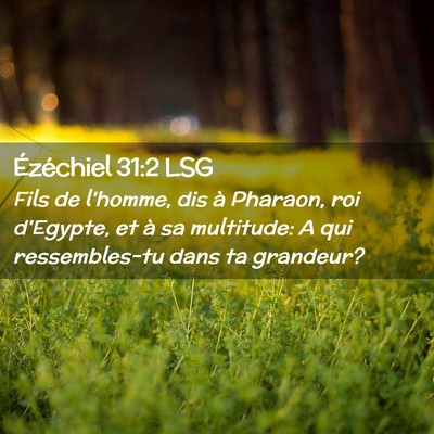 Picture 02 - Ézéchiel 31:2 LSG - Fils de l'homme, dis à Pharaon, roi d'Egypte, et - Bible Verse Picture