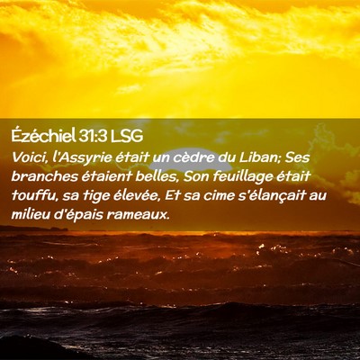Picture 02 - Ézéchiel 31:3 LSG - Voici, l'Assyrie était un cèdre du Liban; Ses - Bible Verse Picture
