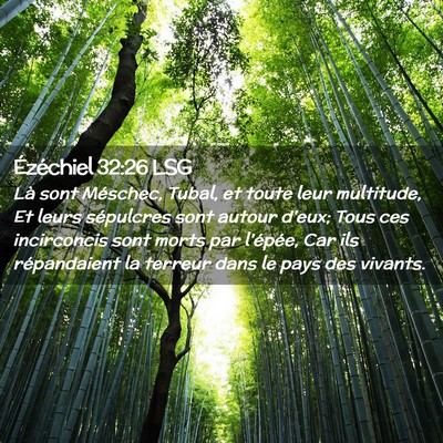Picture 02 - Ézéchiel 32:26 LSG - Là sont Méschec, Tubal, et toute leur - Bible Verse Picture
