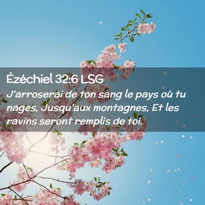 Picture 02 - Ézéchiel 32:6 LSG - J'arroserai de ton sang le pays où tu nages, - Bible Verse Picture