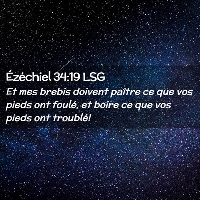 Picture 02 - Ézéchiel 34:19 LSG - Et mes brebis doivent paître ce que vos pieds - Bible Verse Picture
