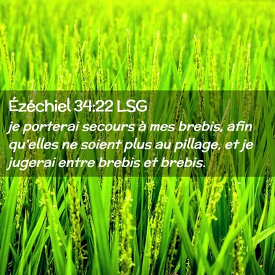 Picture 02 - Ézéchiel 34:22 LSG - je porterai secours à mes brebis, afin qu'elles - Bible Verse Picture