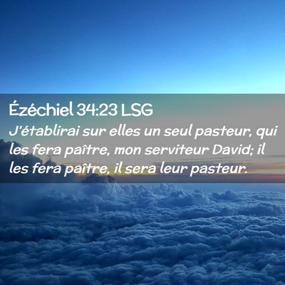 Picture 02 - Ézéchiel 34:23 LSG - J'établirai sur elles un seul pasteur, qui les - Bible Verse Picture