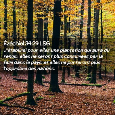 Picture 02 - Ézéchiel 34:29 LSG - J'établirai pour elles une plantation qui aura - Bible Verse Picture