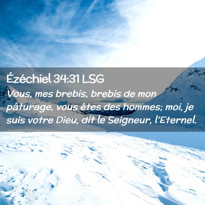 Picture 02 - Ézéchiel 34:31 LSG - Vous, mes brebis, brebis de mon pâturage, vous - Bible Verse Picture