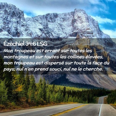 Picture 02 - Ézéchiel 34:6 LSG - Mon troupeau est errant sur toutes les montagnes - Bible Verse Picture