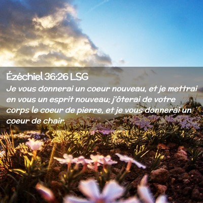 Picture 02 - Ézéchiel 36:26 LSG - Je vous donnerai un coeur nouveau, et je mettrai - Bible Verse Picture