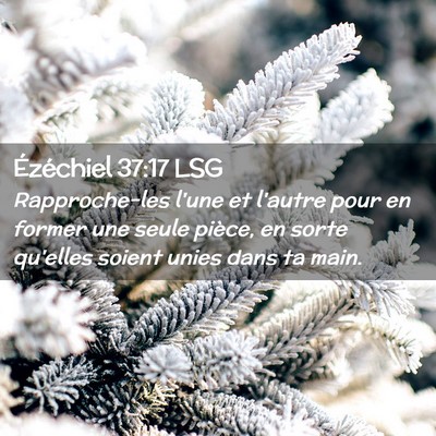 Picture 02 - Ézéchiel 37:17 LSG - Rapproche-les l'une et l'autre pour en former une - Bible Verse Picture