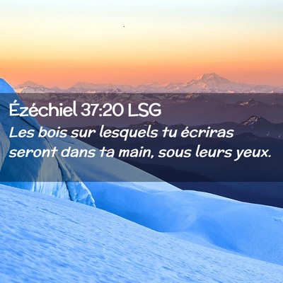 Picture 02 - Ézéchiel 37:20 LSG - Les bois sur lesquels tu écriras seront dans ta - Bible Verse Picture