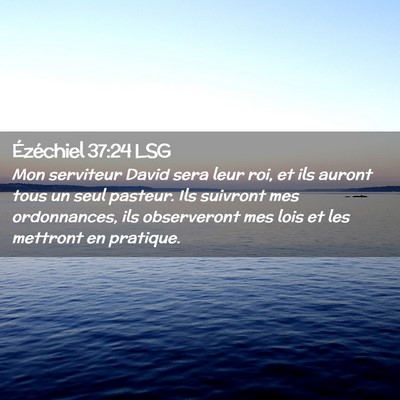 Picture 02 - Ézéchiel 37:24 LSG - Mon serviteur David sera leur roi, et ils auront - Bible Verse Picture