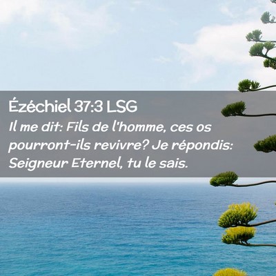 Picture 02 - Ézéchiel 37:3 LSG - Il me dit: Fils de l'homme, ces os pourront-ils - Bible Verse Picture