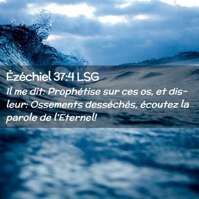 Picture 02 - Ézéchiel 37:4 LSG - Il me dit: Prophétise sur ces os, et dis-leur: - Bible Verse Picture