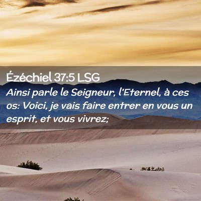 Picture 02 - Ézéchiel 37:5 LSG - Ainsi parle le Seigneur, l'Eternel, à ces os: - Bible Verse Picture