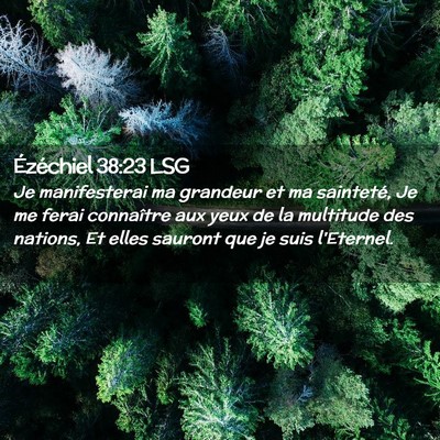 Picture 02 - Ézéchiel 38:23 LSG - Je manifesterai ma grandeur et ma sainteté, Je - Bible Verse Picture
