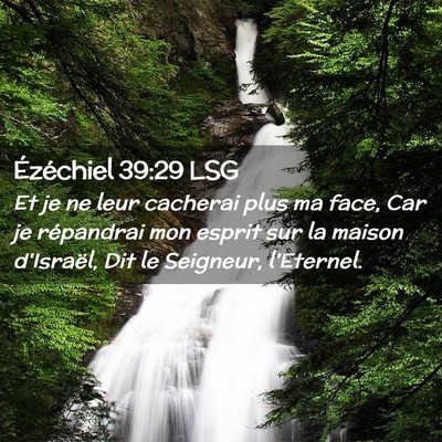 Picture 02 - Ézéchiel 39:29 LSG - Et je ne leur cacherai plus ma face, Car je - Bible Verse Picture