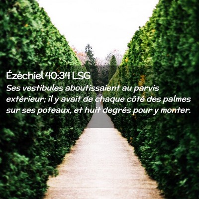 Picture 02 - Ézéchiel 40:34 LSG - Ses vestibules aboutissaient au parvis - Bible Verse Picture