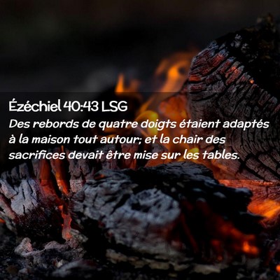 Picture 02 - Ézéchiel 40:43 LSG - Des rebords de quatre doigts étaient adaptés à - Bible Verse Picture
