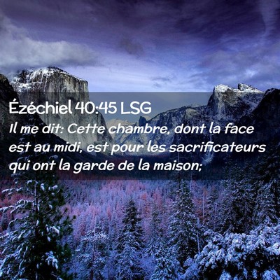 Picture 02 - Ézéchiel 40:45 LSG - Il me dit: Cette chambre, dont la face est au - Bible Verse Picture