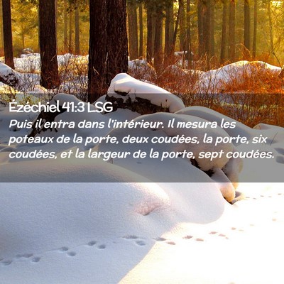 Picture 02 - Ézéchiel 41:3 LSG - Puis il entra dans l'intérieur. Il mesura les - Bible Verse Picture