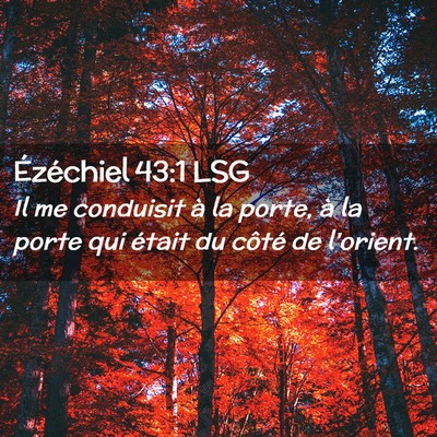 Picture 02 - Ézéchiel 43:1 LSG - Il me conduisit à la porte, à la porte qui - Bible Verse Picture
