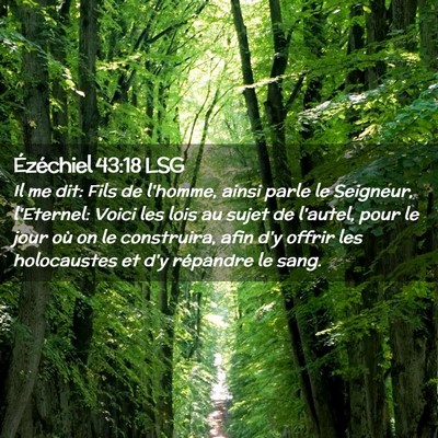 Picture 02 - Ézéchiel 43:18 LSG - Il me dit: Fils de l'homme, ainsi parle le - Bible Verse Picture