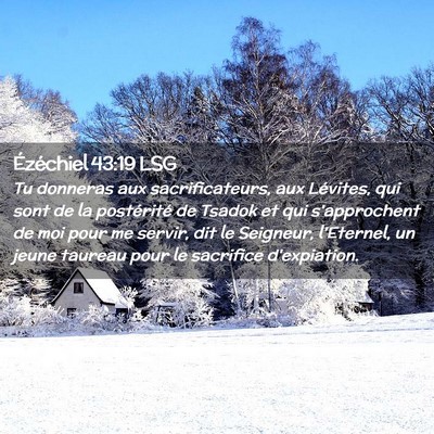 Picture 02 - Ézéchiel 43:19 LSG - Tu donneras aux sacrificateurs, aux Lévites, qui - Bible Verse Picture