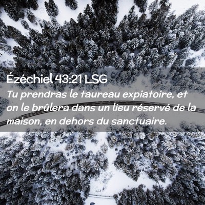 Picture 02 - Ézéchiel 43:21 LSG - Tu prendras le taureau expiatoire, et on le - Bible Verse Picture