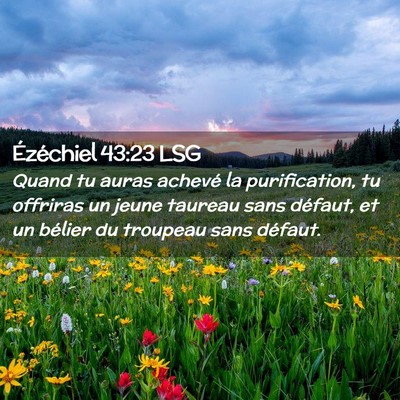 Picture 02 - Ézéchiel 43:23 LSG - Quand tu auras achevé la purification, tu - Bible Verse Picture