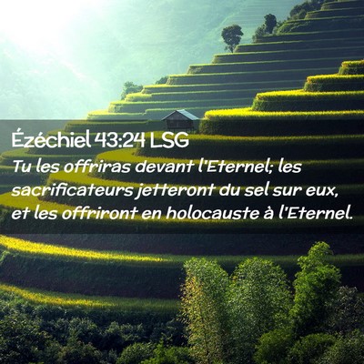 Picture 02 - Ézéchiel 43:24 LSG - Tu les offriras devant l'Eternel; les - Bible Verse Picture