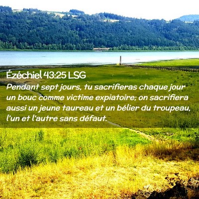 Picture 02 - Ézéchiel 43:25 LSG - Pendant sept jours, tu sacrifieras chaque jour un - Bible Verse Picture
