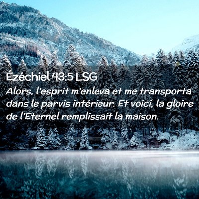 Picture 02 - Ézéchiel 43:5 LSG - Alors, l'esprit m'enleva et me transporta dans le - Bible Verse Picture