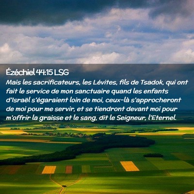 Picture 02 - Ézéchiel 44:15 LSG - Mais les sacrificateurs, les Lévites, fils de - Bible Verse Picture