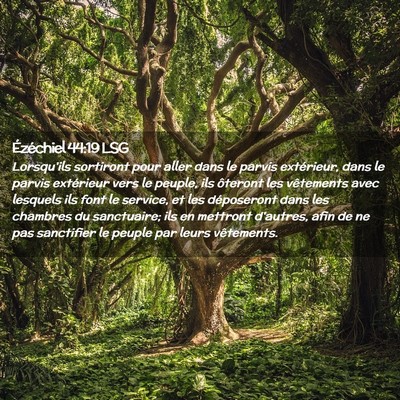 Picture 02 - Ézéchiel 44:19 LSG - Lorsqu'ils sortiront pour aller dans le parvis - Bible Verse Picture