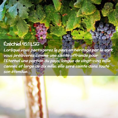 Picture 02 - Ézéchiel 45:1 LSG - Lorsque vous partagerez le pays en héritage par - Bible Verse Picture