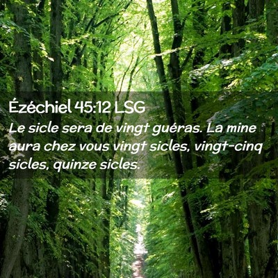 Picture 02 - Ézéchiel 45:12 LSG - Le sicle sera de vingt guéras. La mine aura chez - Bible Verse Picture