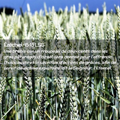 Picture 02 - Ézéchiel 45:15 LSG - Une brebis sur un troupeau de deux cents dans les - Bible Verse Picture