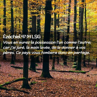 Picture 02 - Ézéchiel 47:14 LSG - Vous en aurez la possession l'un comme l'autre; - Bible Verse Picture