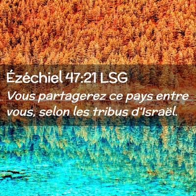 Picture 02 - Ézéchiel 47:21 LSG - Vous partagerez ce pays entre vous, selon les - Bible Verse Picture