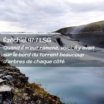 Picture 02 - Ézéchiel 47:7 LSG - Quand il m'eut ramené, voici, il y avait sur le - Bible Verse Picture