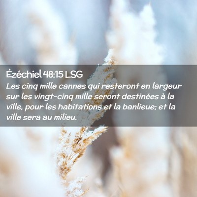 Picture 02 - Ézéchiel 48:15 LSG - Les cinq mille cannes qui resteront en largeur - Bible Verse Picture