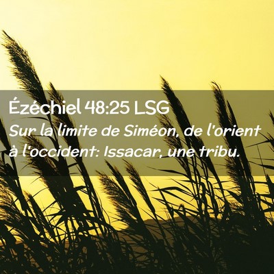 Picture 02 - Ézéchiel 48:25 LSG - Sur la limite de Siméon, de l'orient à - Bible Verse Picture