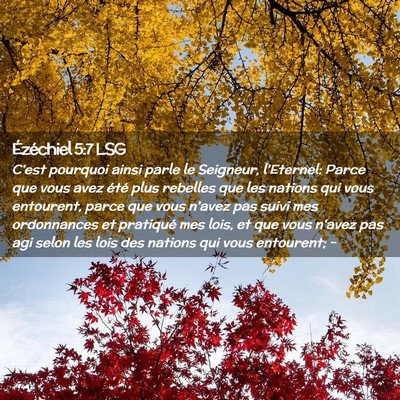 Picture 02 - Ézéchiel 5:7 LSG - C'est pourquoi ainsi parle le Seigneur, - Bible Verse Picture