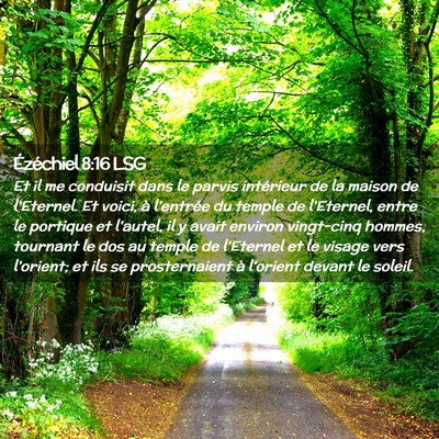 Picture 02 - Ézéchiel 8:16 LSG - Et il me conduisit dans le parvis intérieur de - Bible Verse Picture