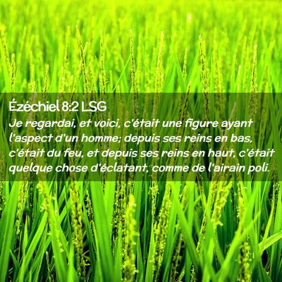 Picture 02 - Ézéchiel 8:2 LSG - Je regardai, et voici, c'était une figure ayant - Bible Verse Picture