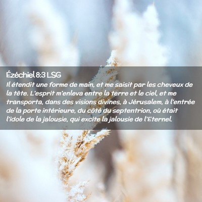 Picture 02 - Ézéchiel 8:3 LSG - Il étendit une forme de main, et me saisit par - Bible Verse Picture