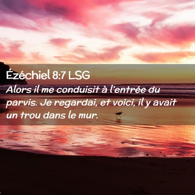 Picture 02 - Ézéchiel 8:7 LSG - Alors il me conduisit à l'entrée du parvis. Je - Bible Verse Picture