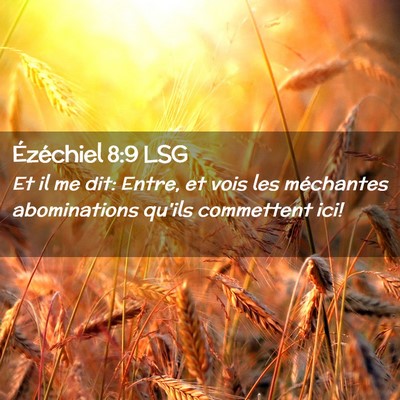 Picture 02 - Ézéchiel 8:9 LSG - Et il me dit: Entre, et vois les méchantes - Bible Verse Picture