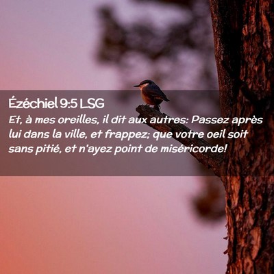 Picture 02 - Ézéchiel 9:5 LSG - Et, à mes oreilles, il dit aux autres: Passez - Bible Verse Picture