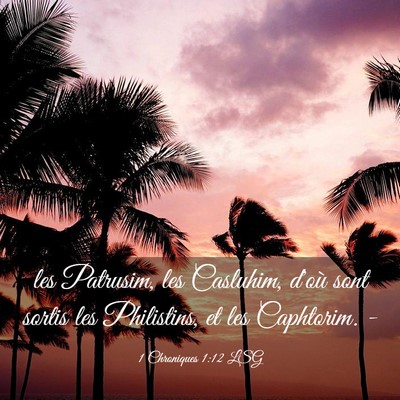 Picture 03 - 1 Chroniques 1:12 LSG - les Patrusim, les Casluhim, d'où sont sortis les - Bible Verse Picture